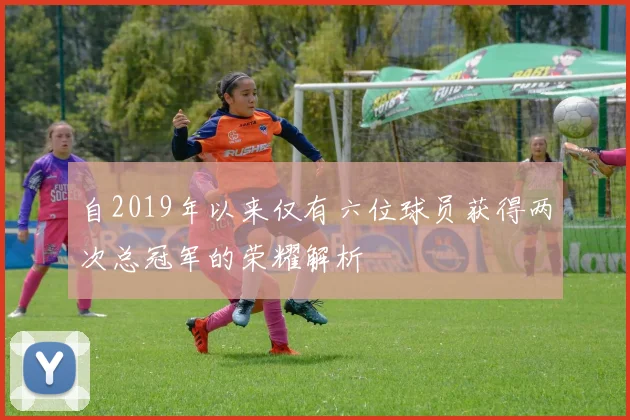 自2019年以来仅有六位球员获得两次总冠军的荣耀解析